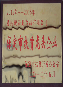 榮譽證書